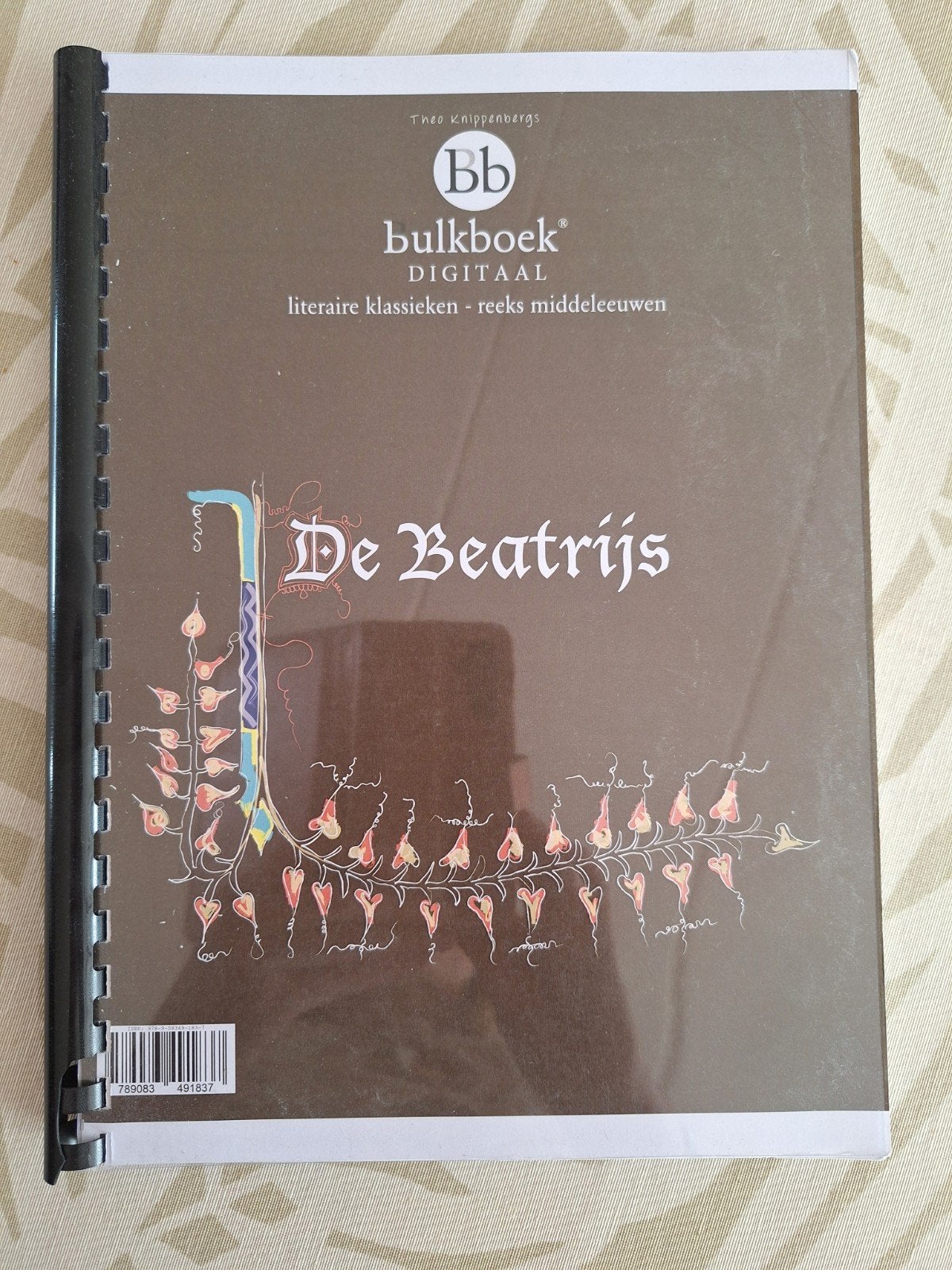 De Beatrijs - Bulkboek Digitaal - Literaire klassieker, Ophalen of Verzenden, Zo goed als nieuw, Onbekend, Nederland