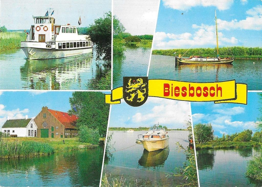 AK Biesbosch - Groeten uit....Varen, Verzenden, 1960 tot 1980, Gelopen, Natuur