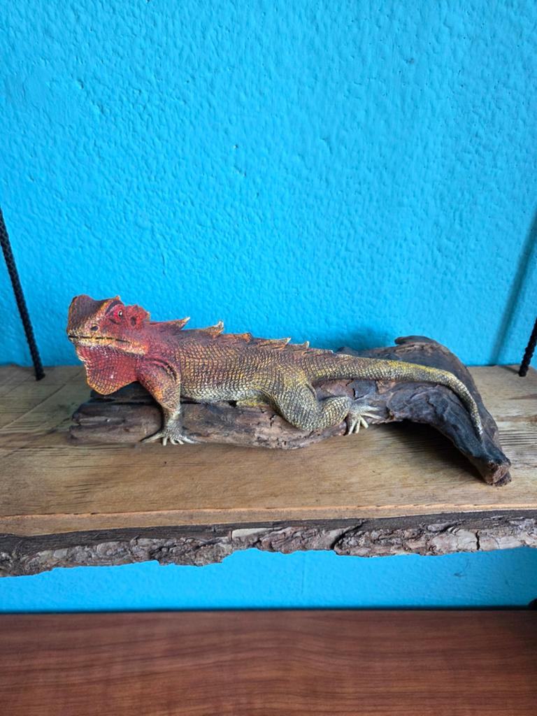 Decoratieve Hagedis op Hout - Realistisch Beeld, Ophalen, Overige onderwerpen, Kunststof, Handgemaakt