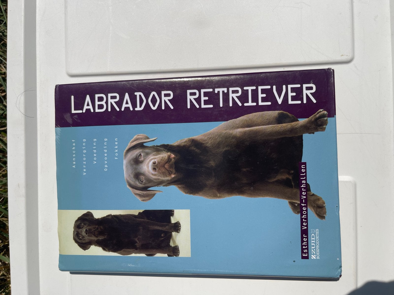 Labrador Retriever Boek: Aanschaf, Verzorging, Voeding, Fokk, Ophalen of Verzenden, Nieuw, Honden