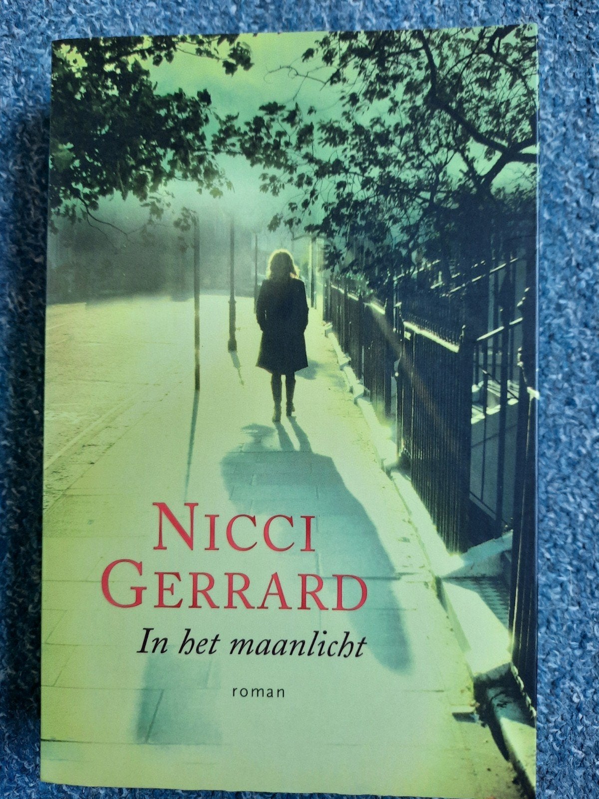 Nicci Gerrard - In het maanlicht, Boeken, Ophalen of Verzenden, Zo goed als nieuw, Nicci Gerrard