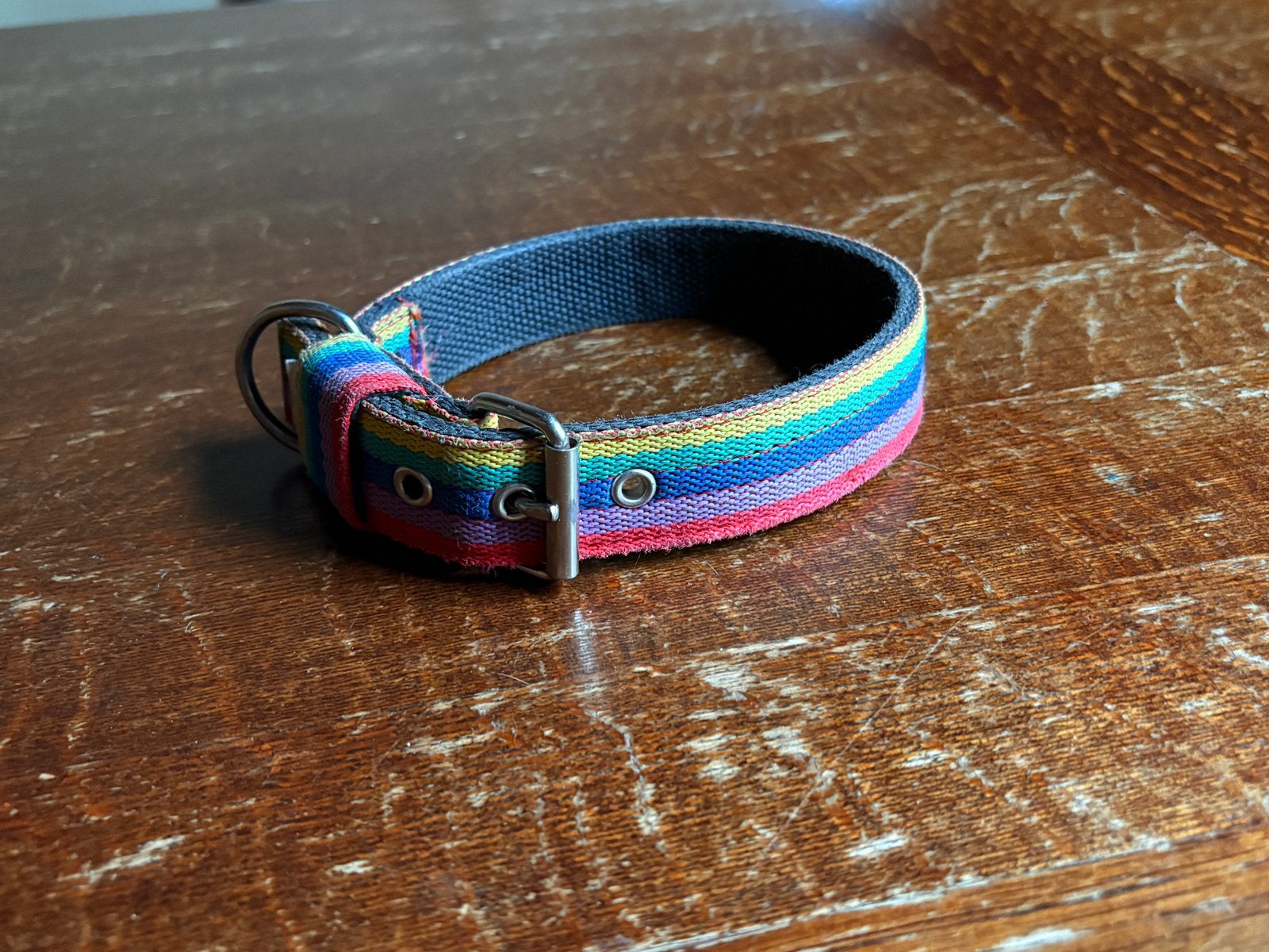 hondenhalsband nylon regenboog, Ophalen of Verzenden, Gebruikt