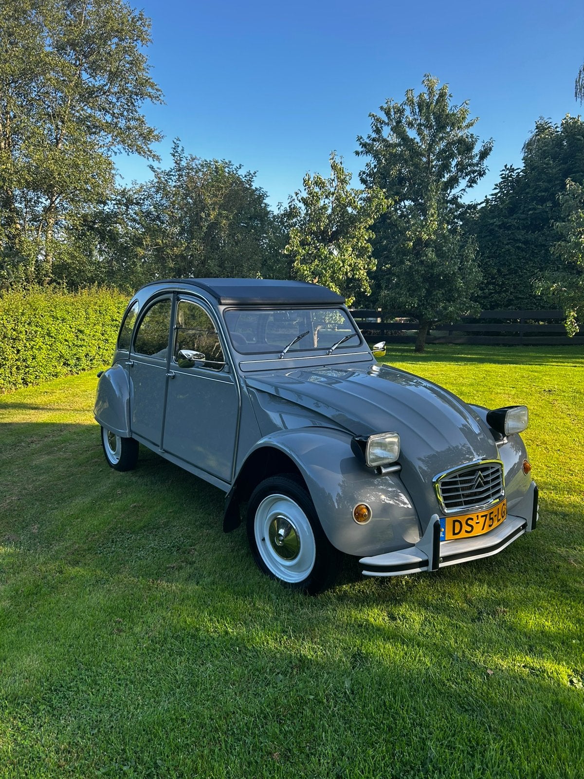 Citroën 2CV 0.6 1979 grijs, Auto's, 602 cc, 2CV, Overige kleuren, 29 pk