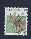 Fauna - Dieren - Koeien - Zwitserland - 1461 - gebr, Ophalen of Verzenden, Gestempeld, Dier of Natuur