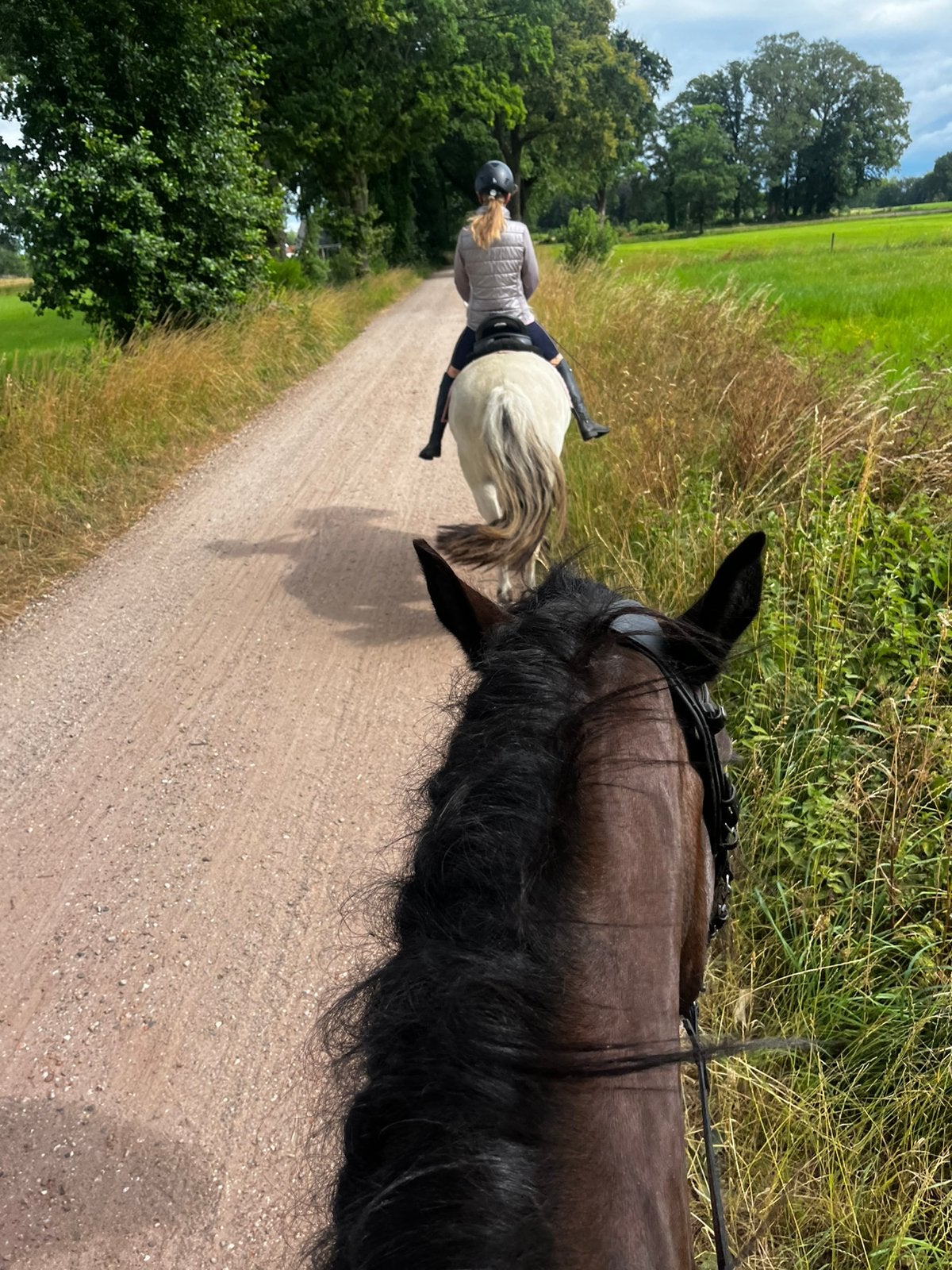 Paardrijles (beginners) en buitenrit Winterswijk., Dieren en Toebehoren, Ophalen, Nieuw