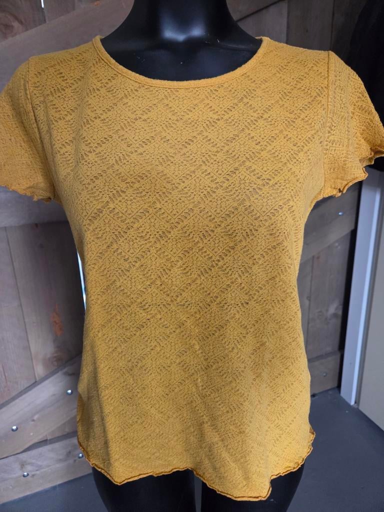 Mooie shirts mooie kleurtjes geel en zalm cotton club mt 34, Kleding | Dames, T-shirts, Geel, Ophalen of Verzenden, Zo goed als nieuw