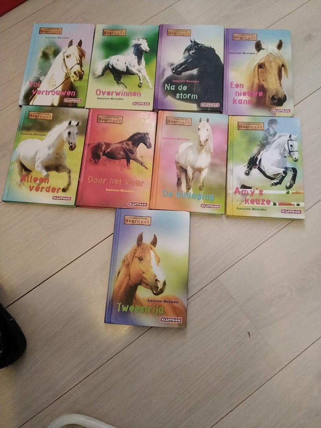 Lauren Brooke paardenrace heartland € 5 per stuk zie omschri, Ophalen of Verzenden, Zo goed als nieuw