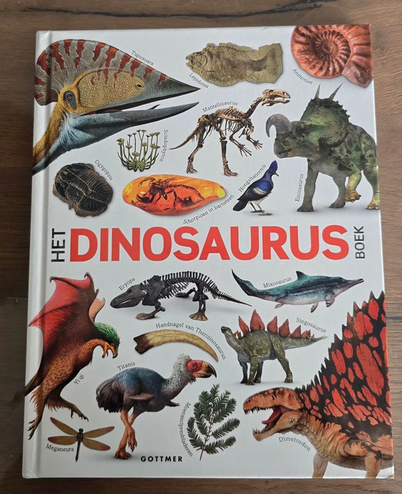 Het Dinosaurus Boek - Nieuwstaat, Ophalen of Verzenden, Zo goed als nieuw