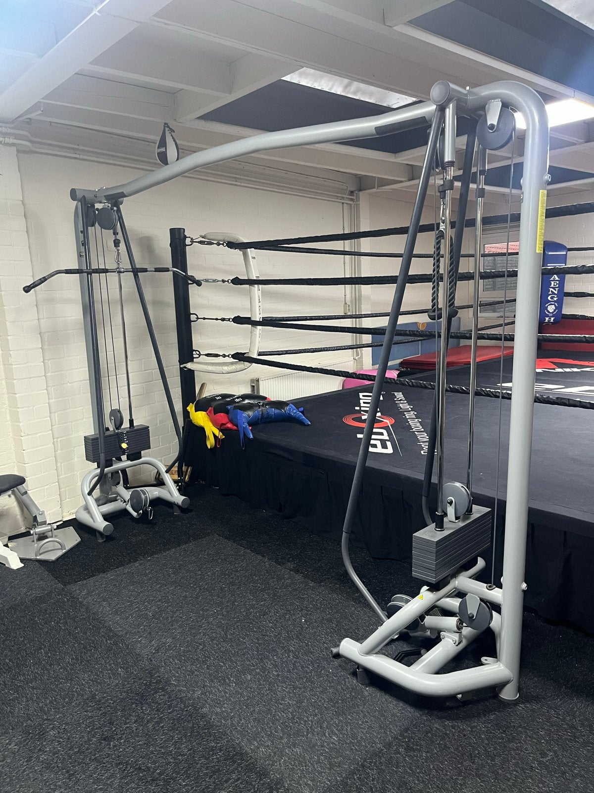 Technogym Krachtstation - Dual Adjustable Pulley, Ophalen, Gebruikt, Armen