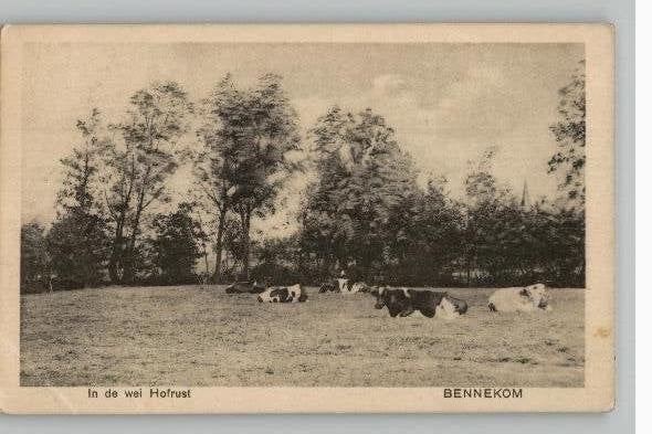 Bennekom In de Wei Hofrust met koeien st 1928, Ophalen of Verzenden, 1920 tot 1940, Gelopen, Gelderland