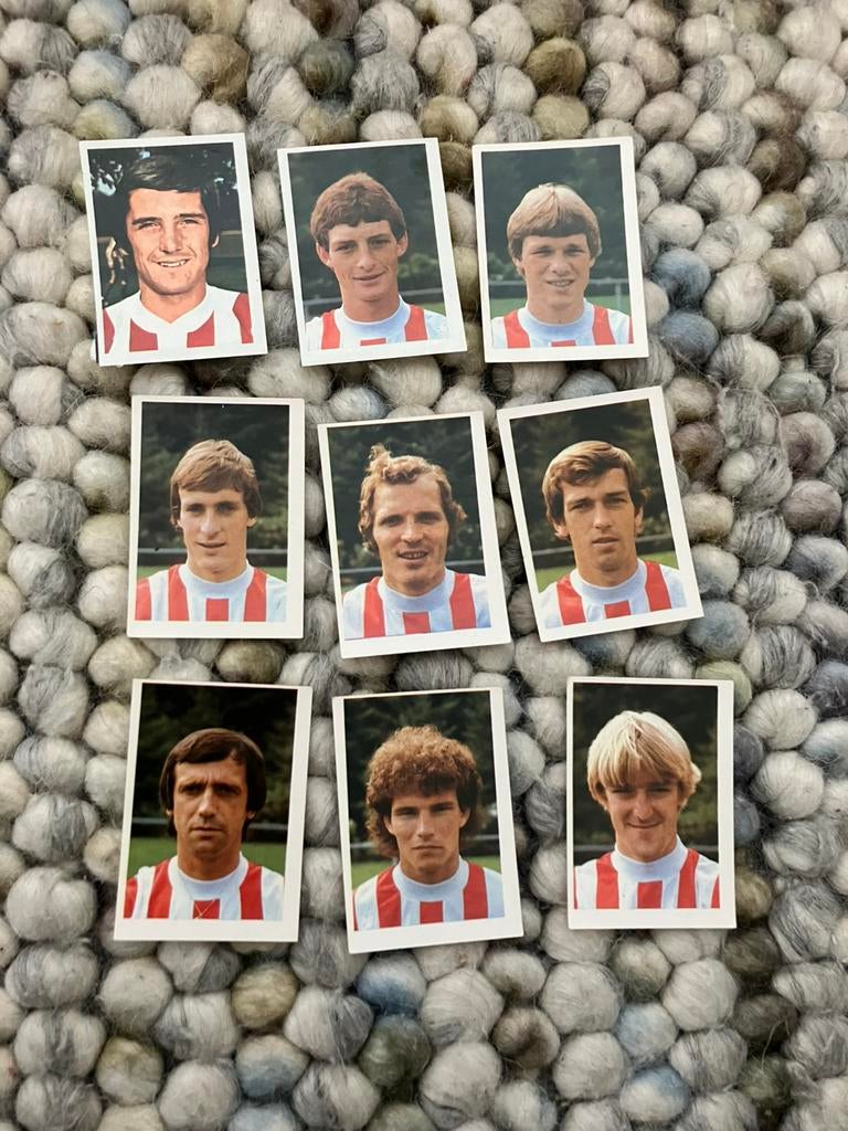 Psv panini vanderhout 1980-1981, Verzamelen, Ophalen of Verzenden, Zo goed als nieuw, PSV, Poster, Plaatje of Sticker