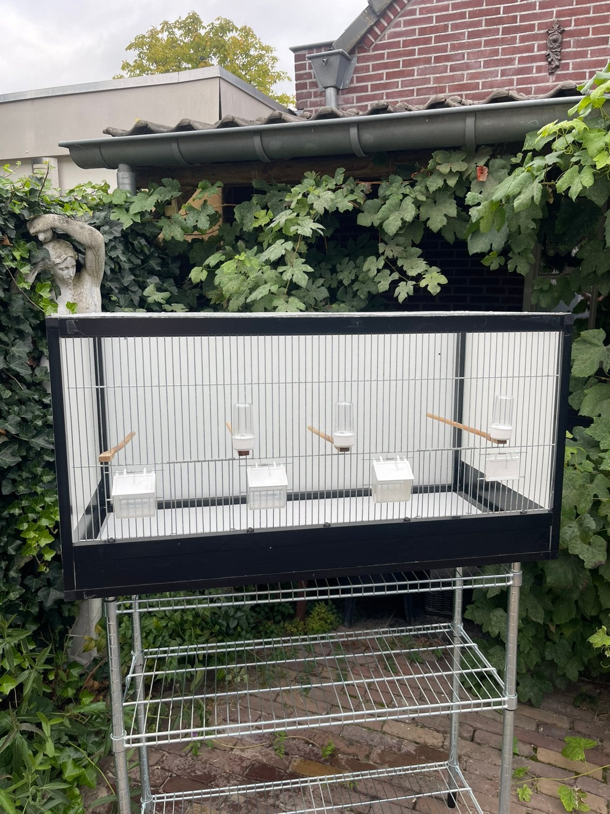 Broedkooien, kweekkooien, Dieren en Toebehoren, Ophalen, Zo goed als nieuw, Hout, Broedkooi of Kweekkooi