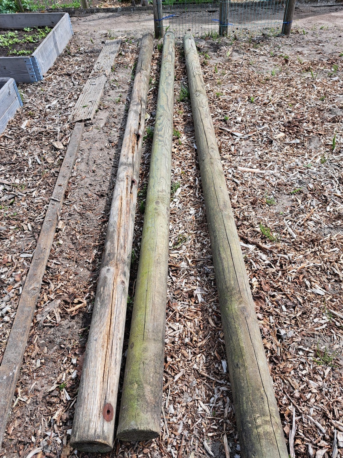 Houten palen voor tuin of constructie 3 meter lang, Tuin en Terras, Palen, Balken en Planken, Ophalen, Gebruikt, 250 cm of meer