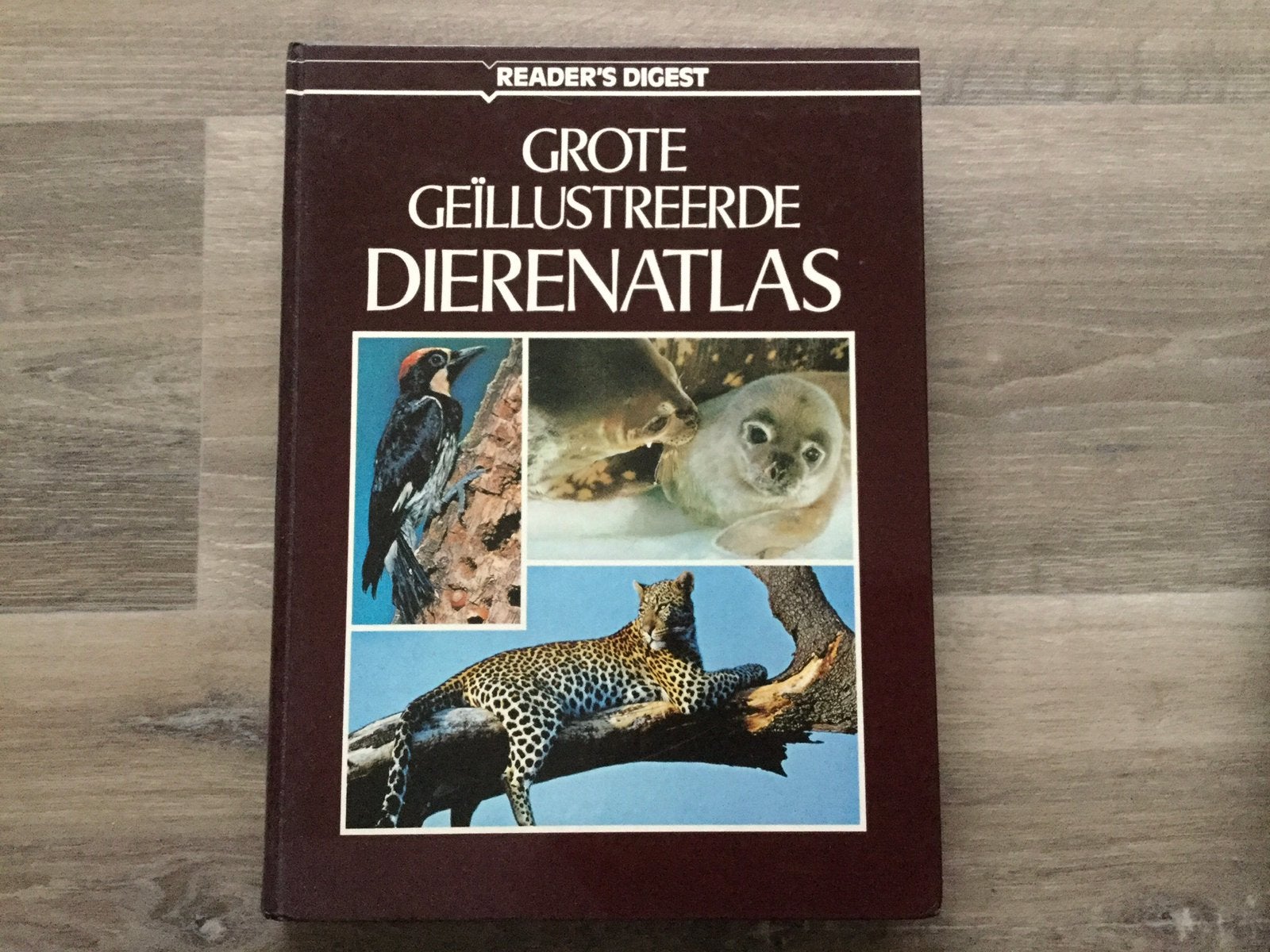 Grote geïllustreerde dierenatlas, Ophalen of Verzenden, Zo goed als nieuw, Natuur algemeen