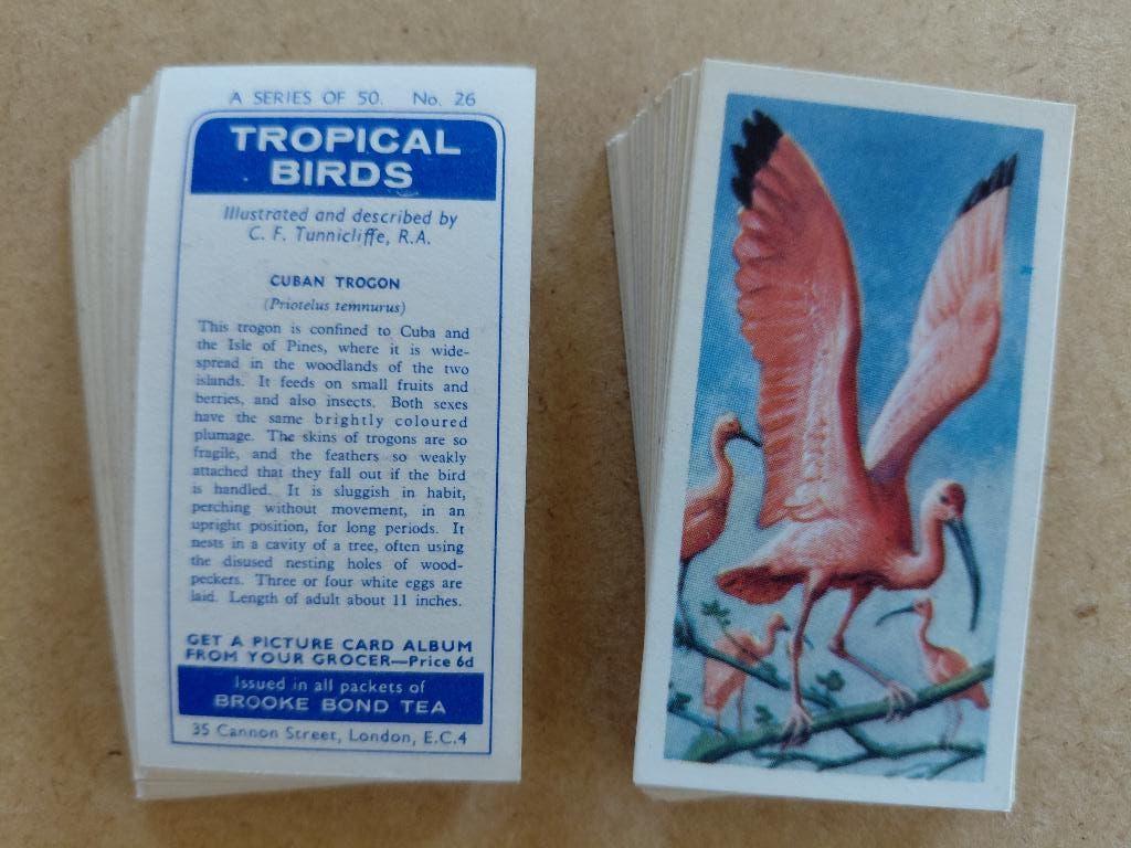 Tropical Birds complete set 50 tea cards vogels 1961, Ophalen, Gebruikt
