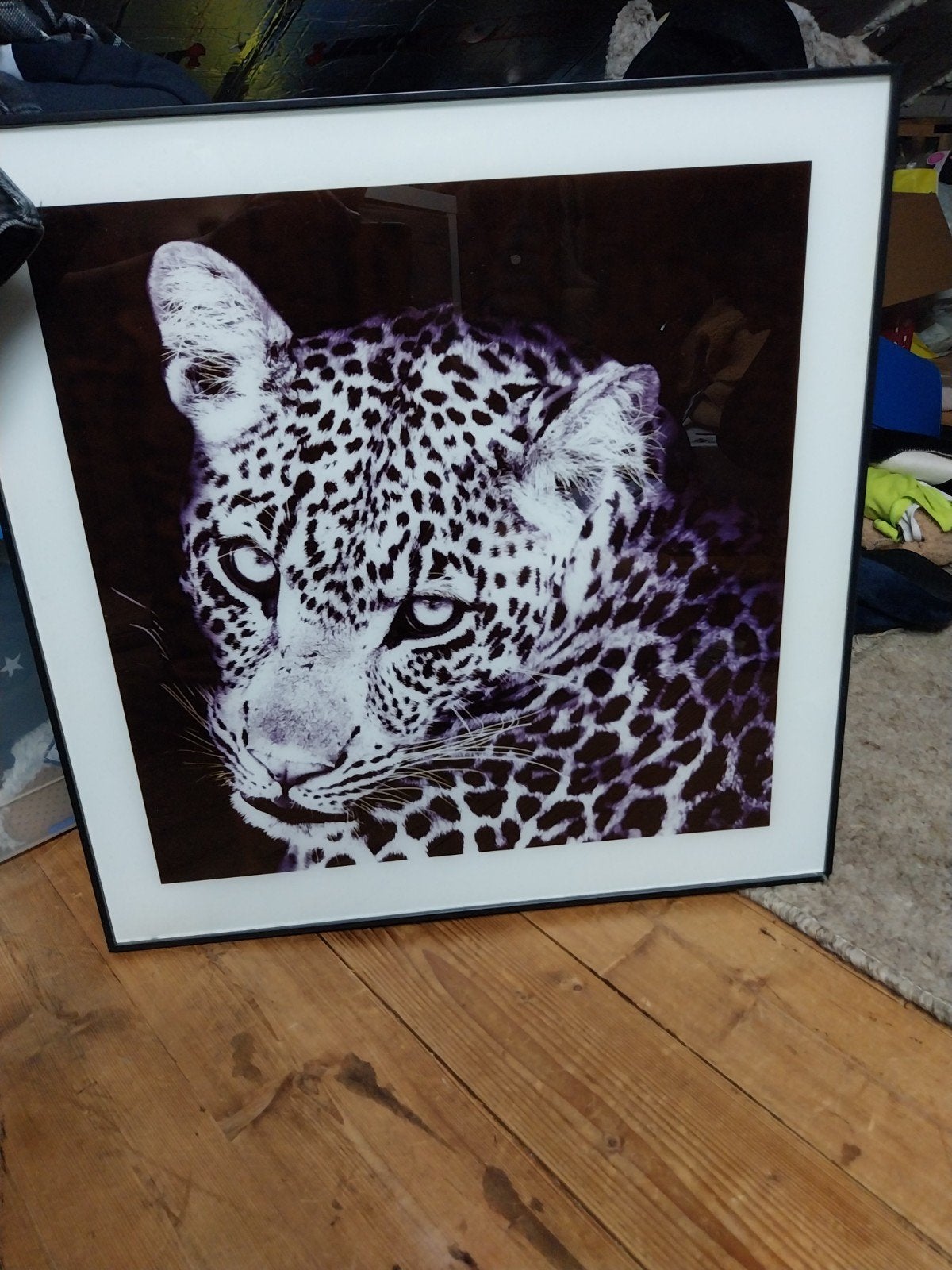 Modern Schilderij Luipaard 50x50 cm, Ophalen, Glas, Achter glas, Dieren