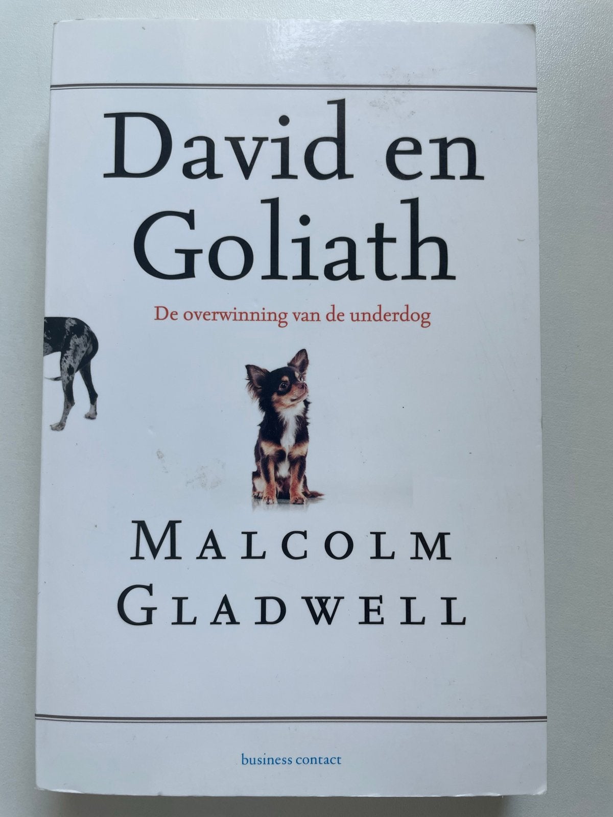 David en Goliath - Malcolm Gladwell (Zo goed als nieuw), Ophalen of Verzenden, Zo goed als nieuw, Nederland