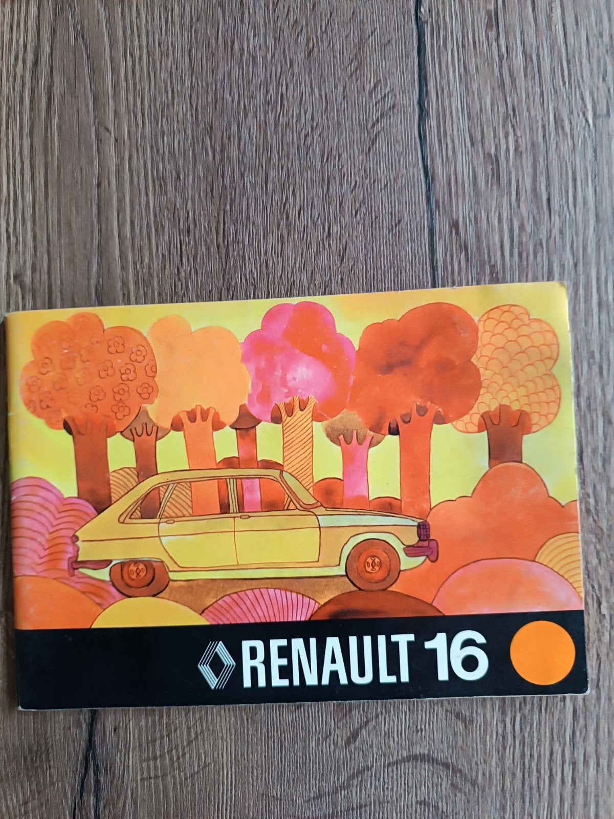 Renault 16 Instructieboekje (Origineel), Ophalen of Verzenden