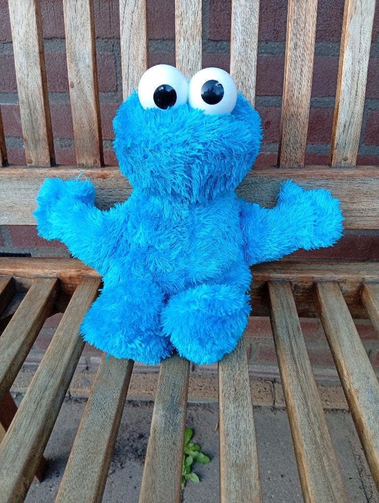 cookie monster met geluid Sesame Street Hasbro, Gebruikt, Overige merken, Overige karakters, Overige typen