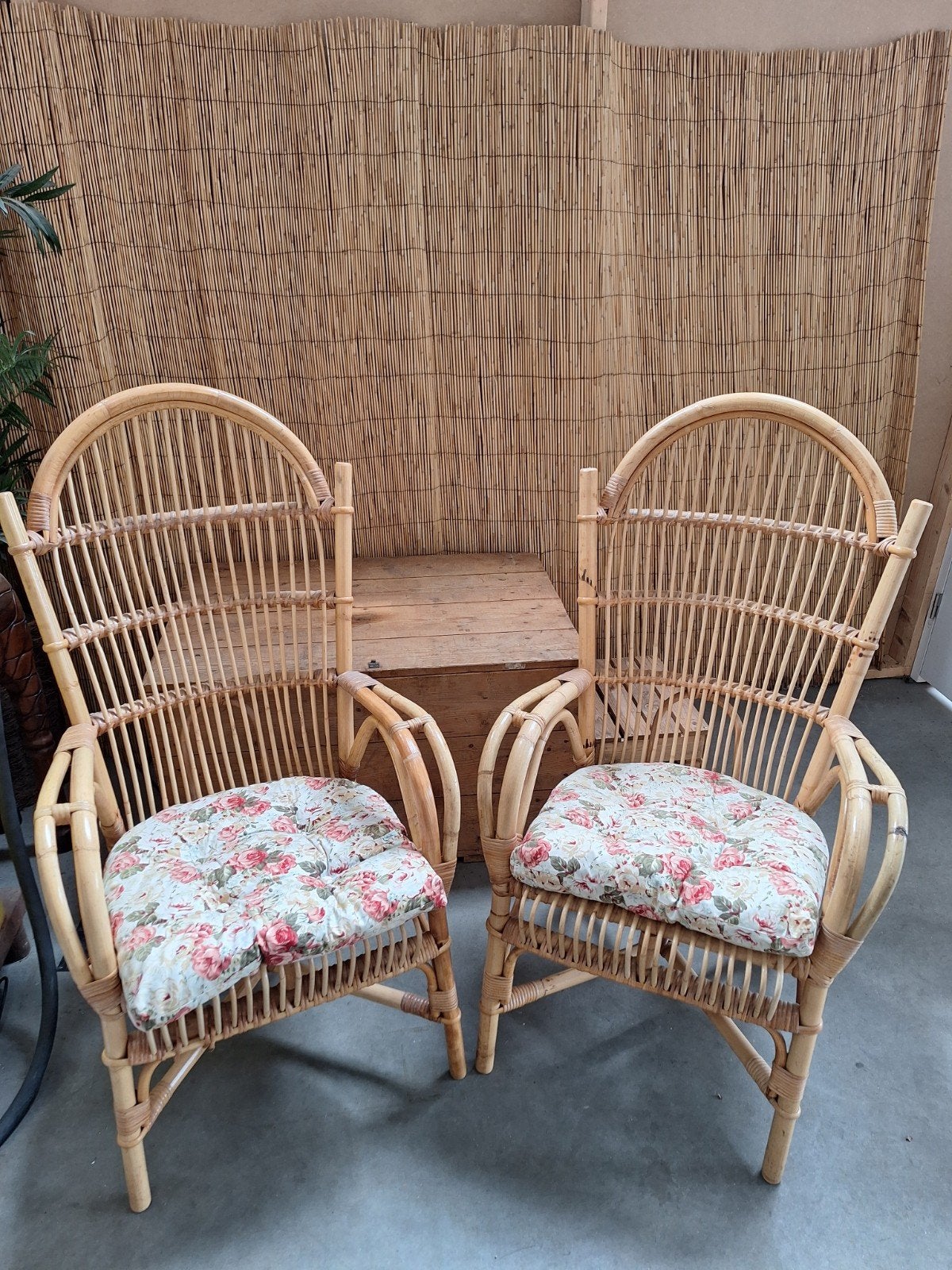 2 prachtige degelijke rotan stoelen, Ophalen, Bruin, Twee