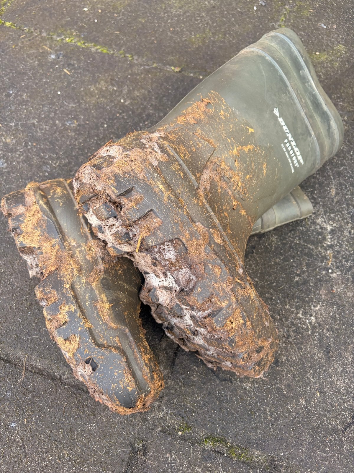 Dunlop Purofort Thermo laarzen maat 37, Verzenden, Gedragen, Groen, Regenlaarzen