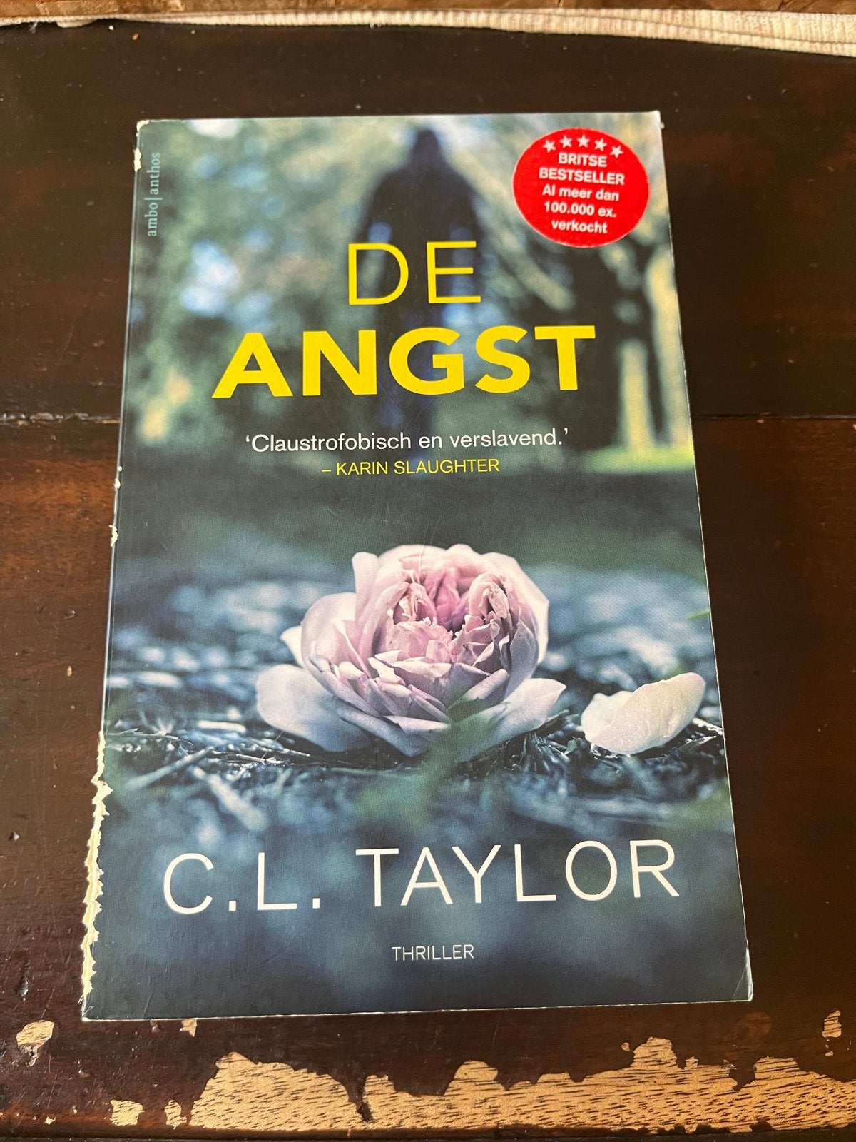 De Angst - C.L. Taylor (Thriller), Ophalen of Verzenden, Gelezen, Europa overig