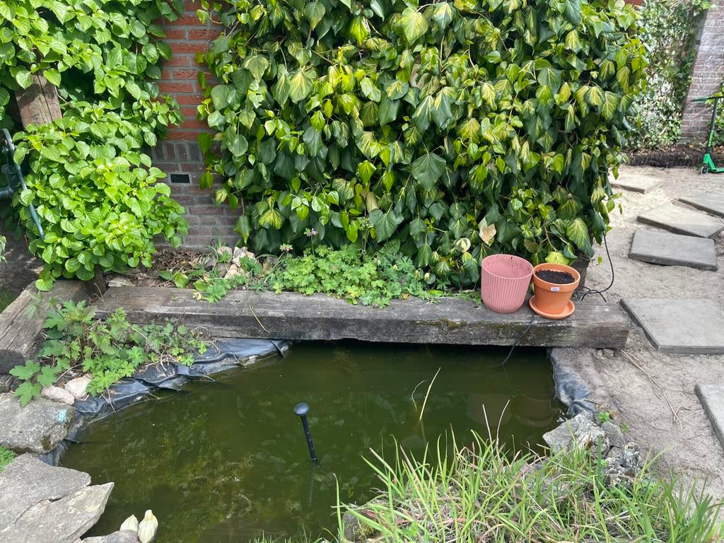 Bielzen gratis af te halen, Ophalen, Biels, Zo goed als nieuw, Minder dan 100 cm