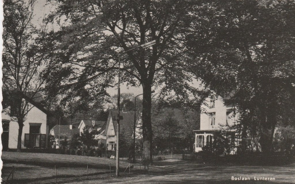 lunteren- boslaan, Ophalen of Verzenden, 1940 tot 1960, Gelderland