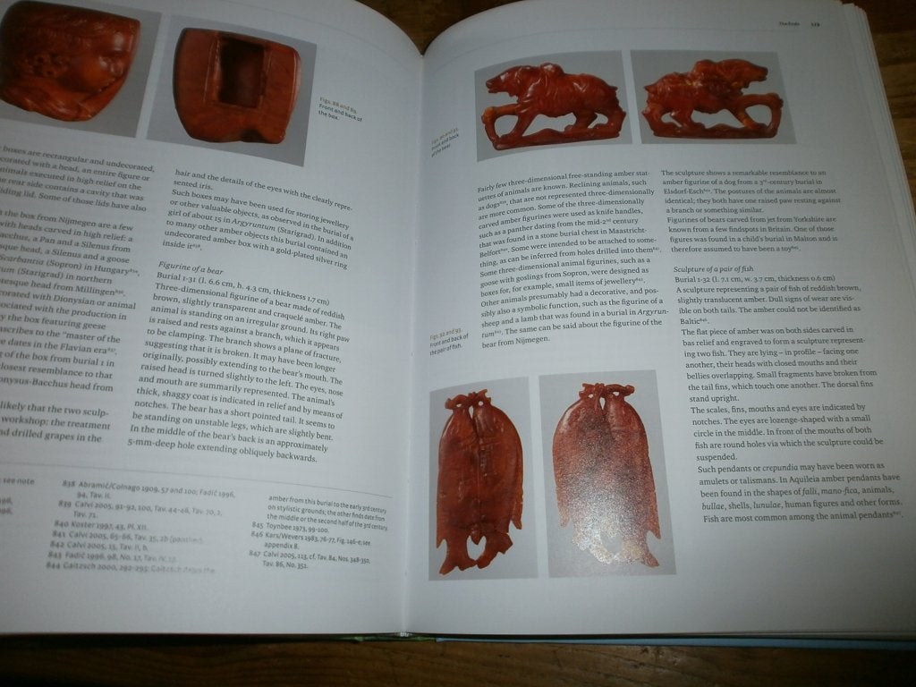 het kerkhof van noviamagus met fotos van bodemvondsten, Antiek en Kunst, Antiek | Boeken en Bijbels, Ophalen of Verzenden