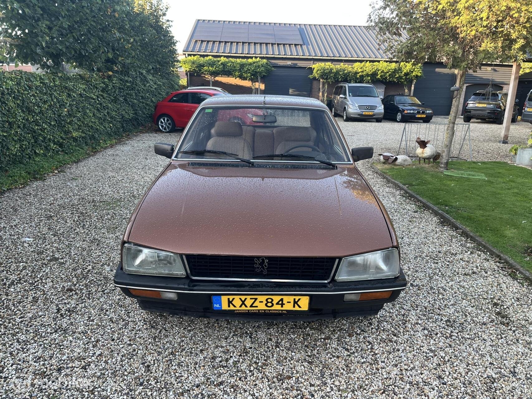 Peugeot 505 2.3 SRD turbo, foto 2