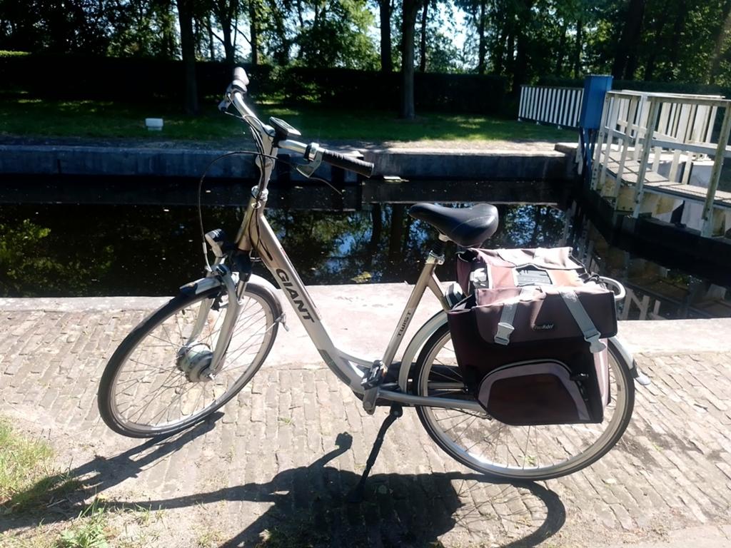 Giant twist electrische dames fiets, Ophalen of Verzenden, Gebruikt, Overige merken