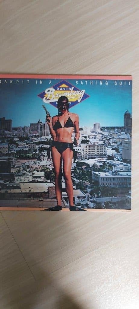 David Bromberg Bandit in a Bathing Suit LP USA, LP, Ophalen of Verzenden, Zo goed als nieuw, 12 inch