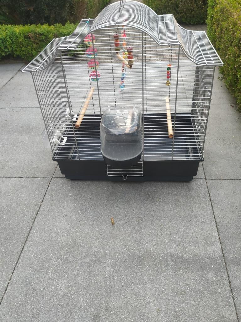 Vogelkooien, Ophalen, Metaal, Vogelkooi