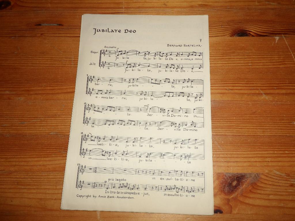Bernard bartelink - jubilate deo, Gebruikt, Ophalen of Verzenden, Religie en Gospel, Artiest of Componist