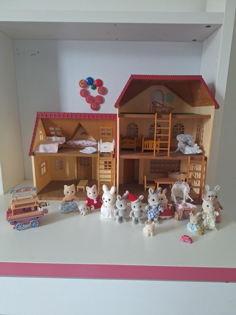 Sylvanian families, Kinderen en Baby's, Speelgoed | Poppen, Ophalen, Overige typen