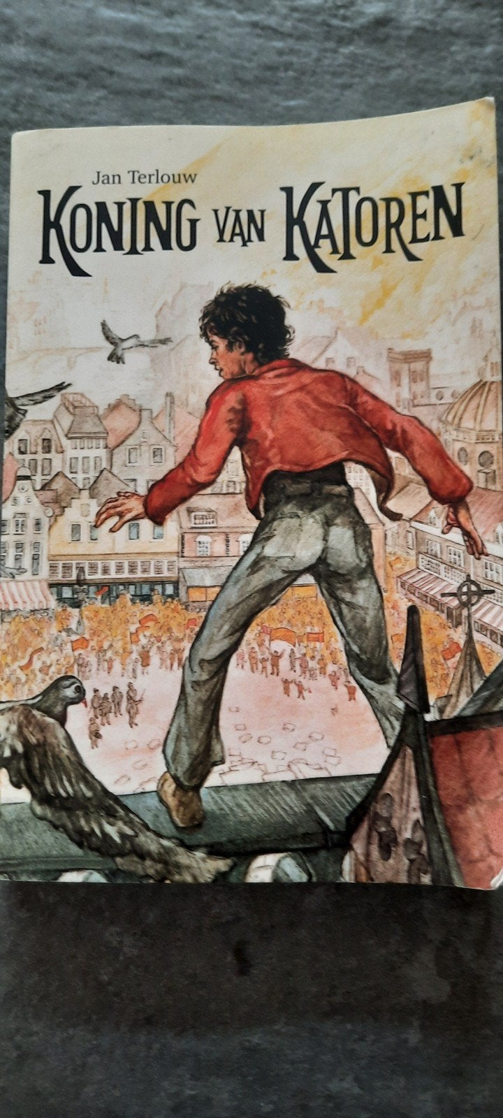 Jan Terlouw Koning van Katoren, Boeken, Ophalen of Verzenden