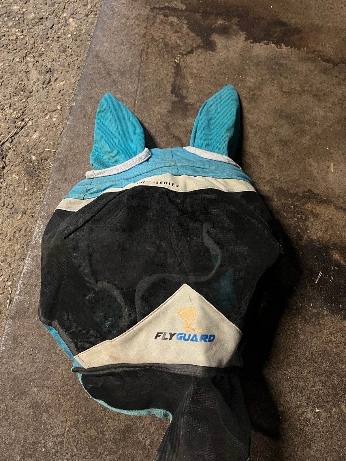 Paardendekens, vliegenmasker en bit, Dieren en Toebehoren, Ophalen of Verzenden, Zo goed als nieuw, Regendeken, Amigo