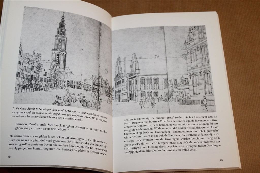 1000 Jaar Gronings Taallandschap — Dialect en Streekhistorie, Ophalen of Verzenden, Gelezen