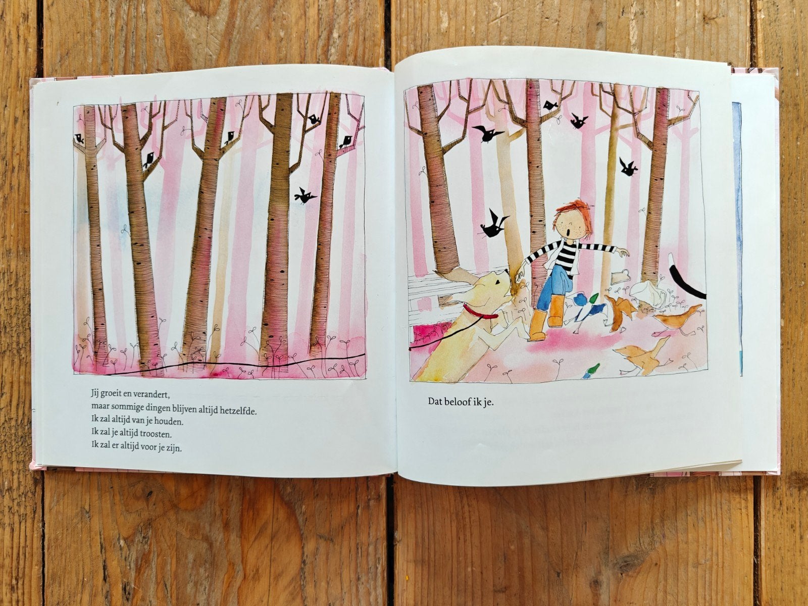 Ik beloof het je., Ophalen of Verzenden, Zo goed als nieuw