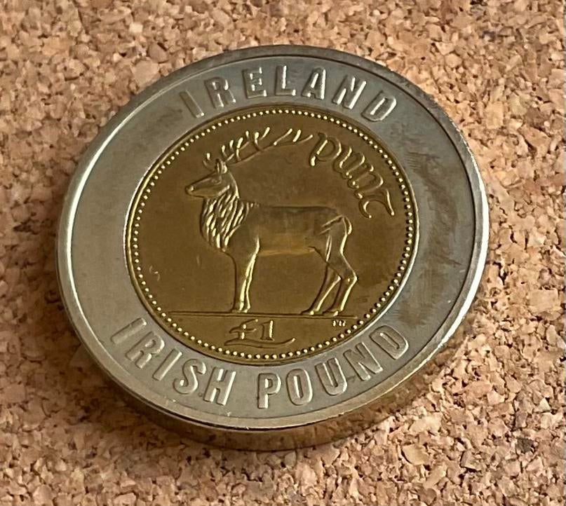 Penning - The Old European Currency - Irish Pound, Ophalen of Verzenden, Overige materialen, Buitenland