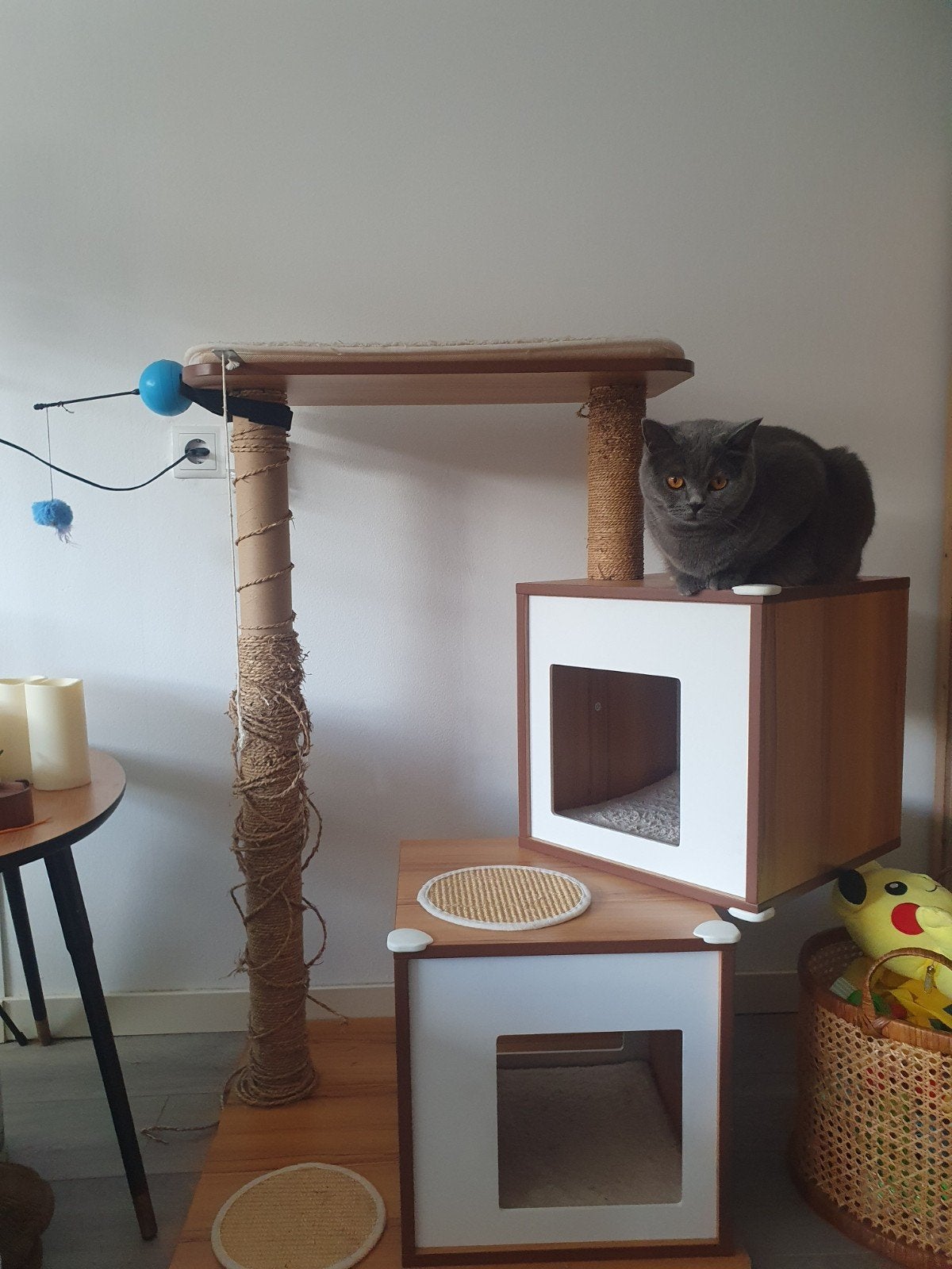 stijvolle krabpaal katten met huisjes, Dieren en Toebehoren, Ophalen, Gebruikt