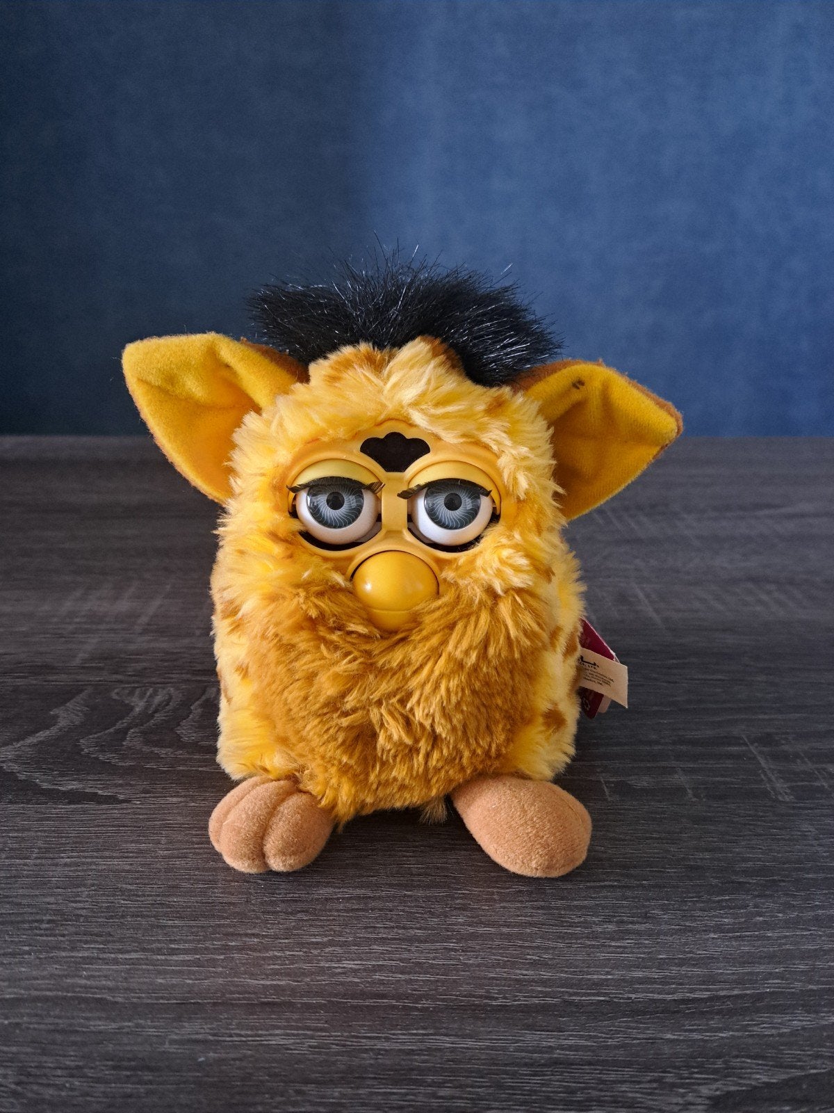 Originele Furby uit 1999, Ophalen, Gebruikt