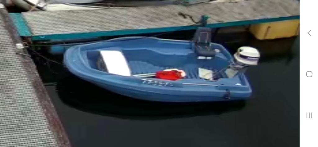 Jeanneau Cap 360 met 25 pk Evenrude buitenboordmotor, Watersport en Boten, Gebruikt, Buitenboordmotor, Polyester, Visboot
