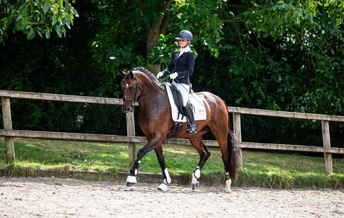 Talentvolle 7 jarige KWPN merrie van Just Wimphof, Dieren en Toebehoren, Merrie, Met stamboom, M, Dressuurpaard