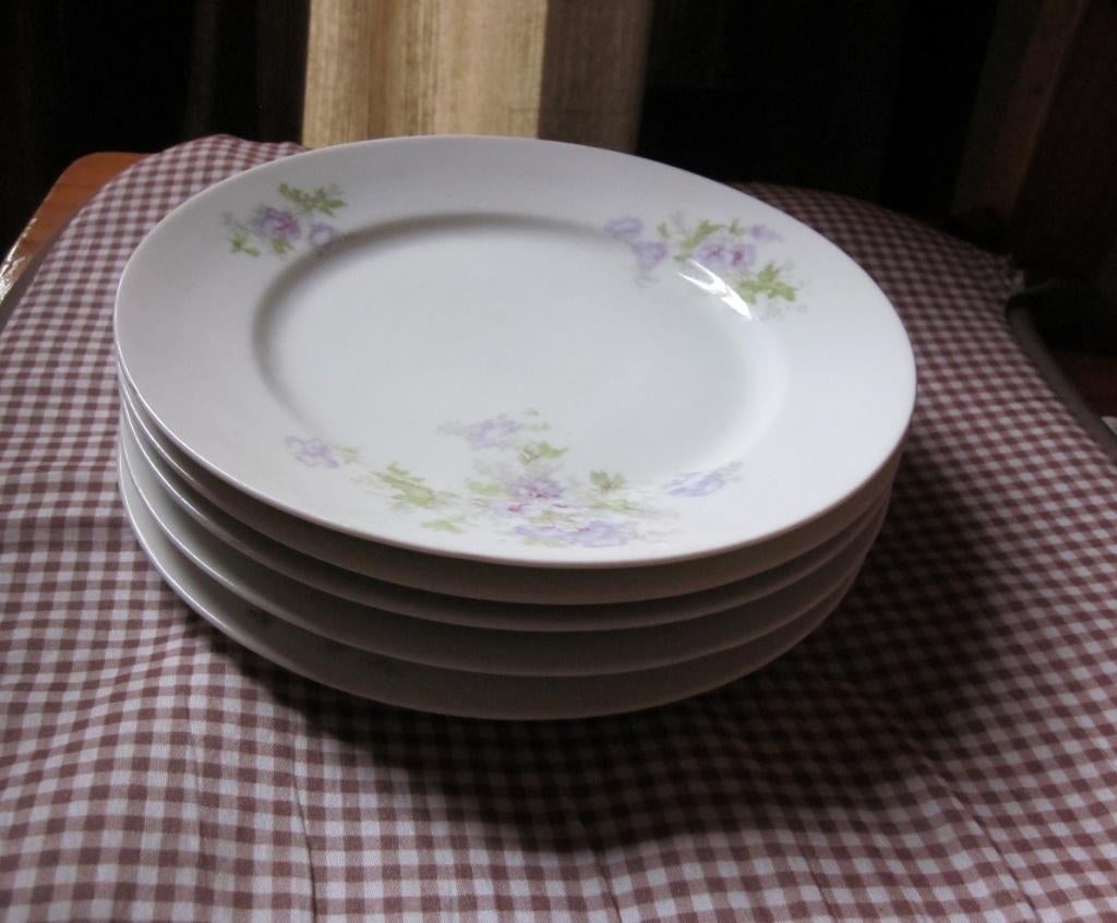 5 borden ct altwasser silesia 21 cm diameter wit bloemen oma, Antiek en Kunst, Ophalen of Verzenden