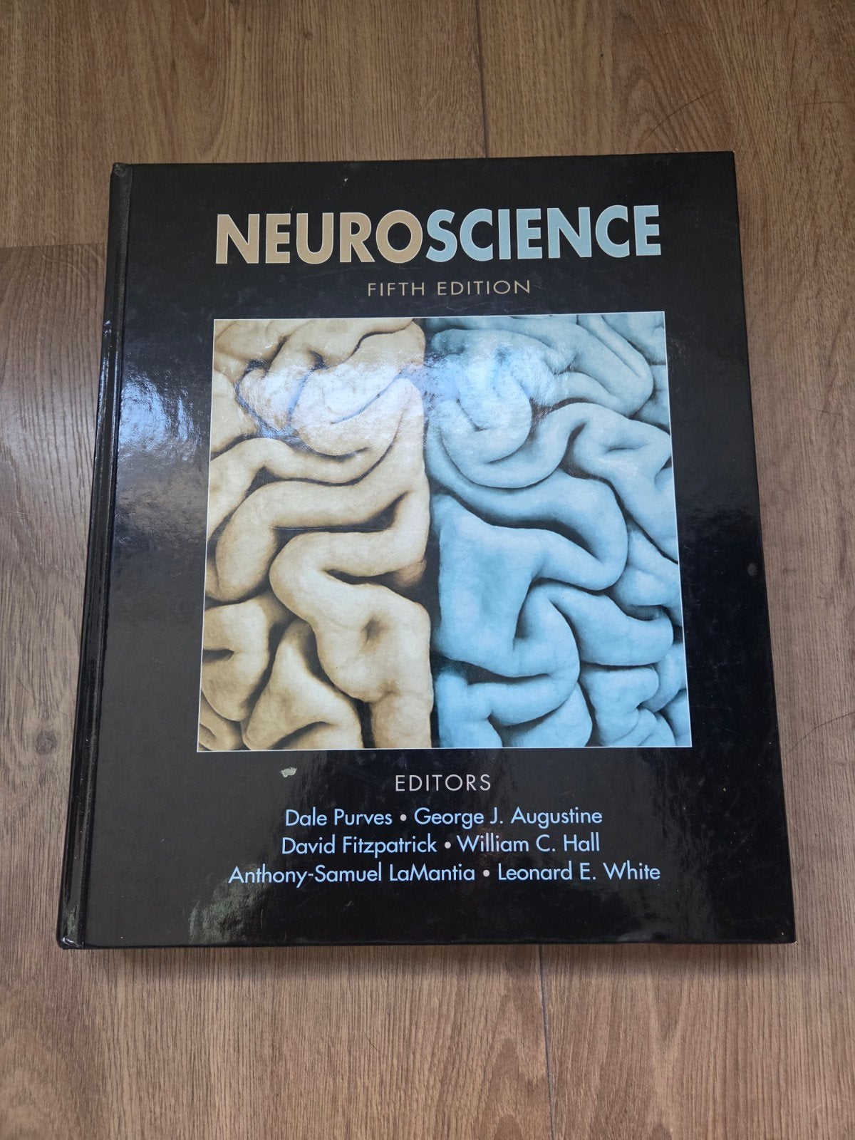 Neuroscience - Fifth Edition (Dale Purves e.a.), Boeken, Ophalen of Verzenden, Zo goed als nieuw, Dale Purves, George J. Augustine, David Fitzpatrick e.a.