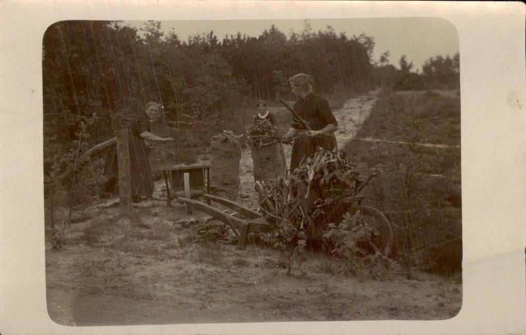 Vrouwen met kruiwagen en hout, Ophalen of Verzenden, Voor 1920, Ongelopen, Noord-Brabant
