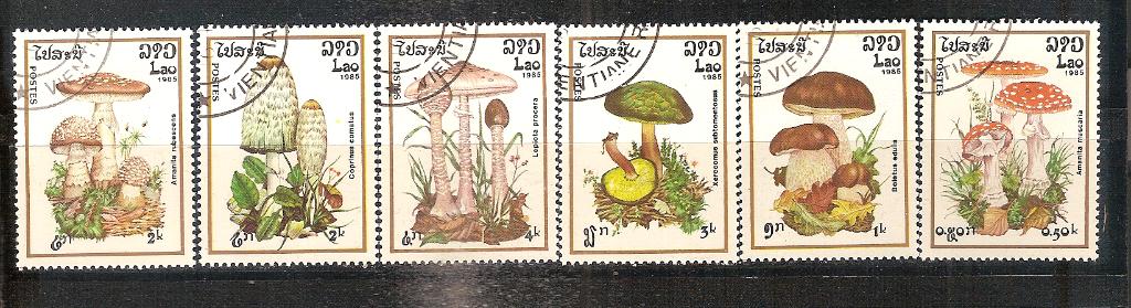 Paddenstoelen-1, Ophalen of Verzenden, Gestempeld, Dier of Natuur