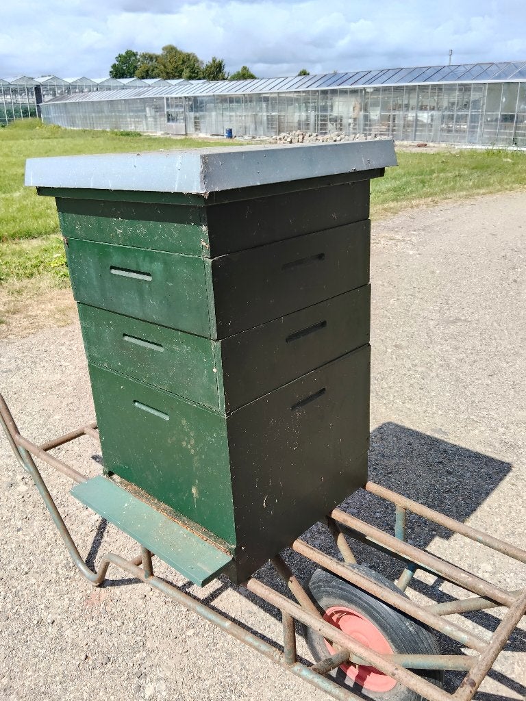 Bijen kasten, Dieren en Toebehoren, Insecten en Spinnen, Bijen