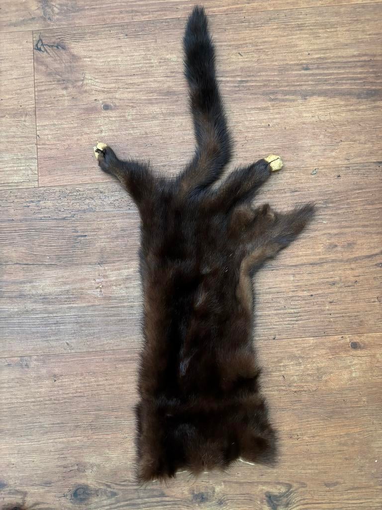 Nerts vachtje 65 cm met staart 20 cm breed, Verzenden